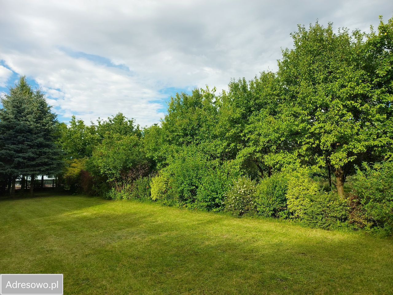 Działka budowlana Modliszewice. Zdjęcie 6