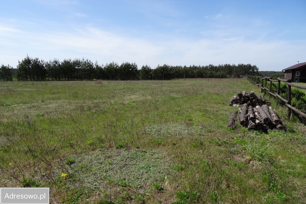 Działka rekreacyjna Lipnica. Zdjęcie 9