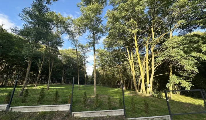 Działka budowlana Biedrzychowice Dolne