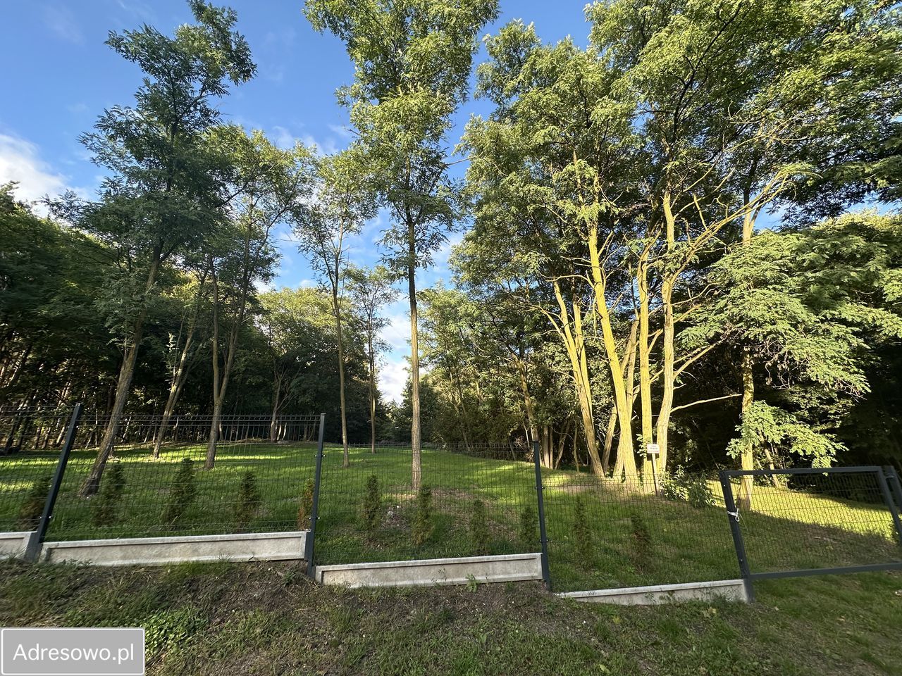 Działka budowlana Biedrzychowice Dolne