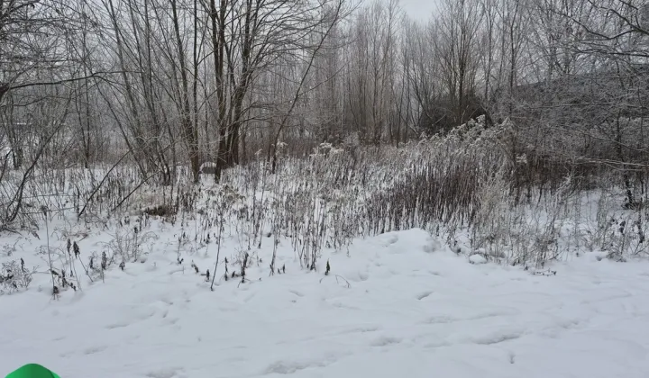 Działka budowlana Rusiec