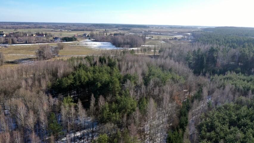 Działka leśna Grzegorze. Zdjęcie 8