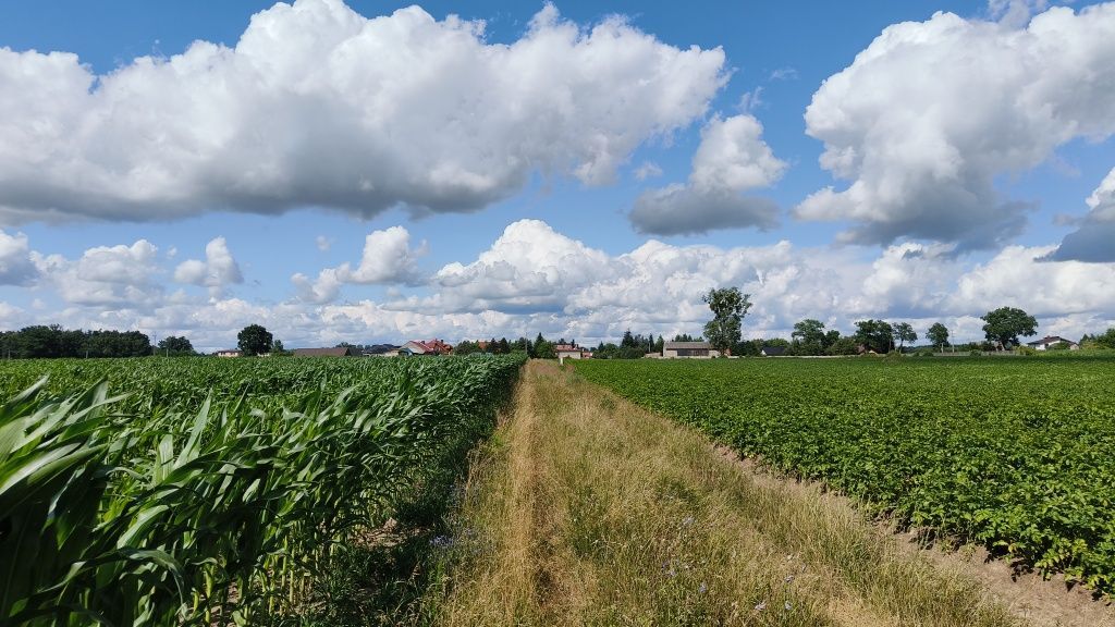 Działka budowlana Karski, ul. Akacjowa. Zdjęcie 6