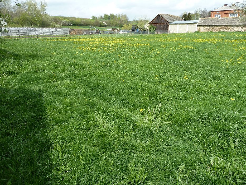 Działka rolno-budowlana Boduszów. Zdjęcie 7