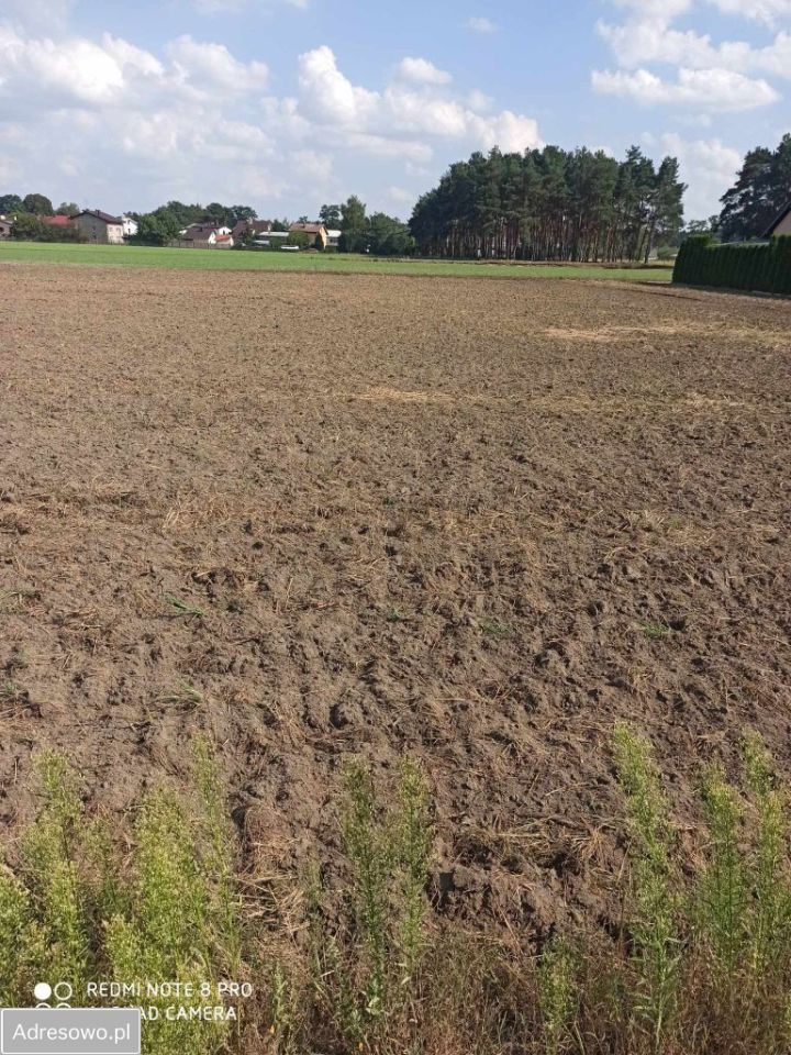 Działka budowlana Niedźwiedź. Zdjęcie 6