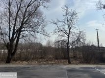 Działka inwestycyjna Bugaj, ul. Kobylnicka. Zdjęcie 2