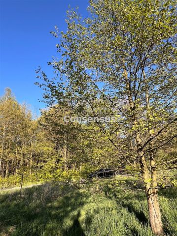 Działka budowlana Mikołów. Zdjęcie 6