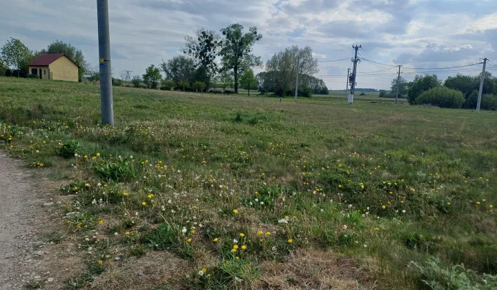 Działka budowlana Gozdowo, ul. Ogrodowa