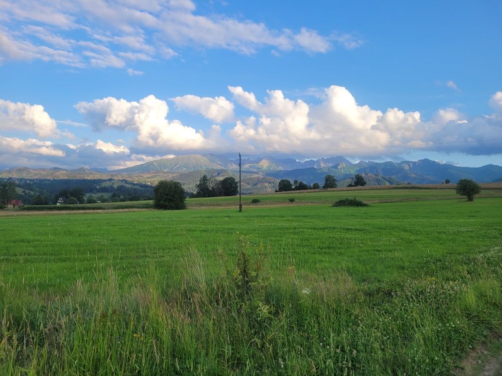 Działka rolna Zakopane Galicówka, ul. Galicówka
