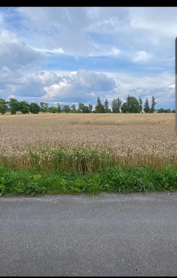 dzia-ka-strza-k-w-ul-kolberga-bez-po-rednika-3400-m2