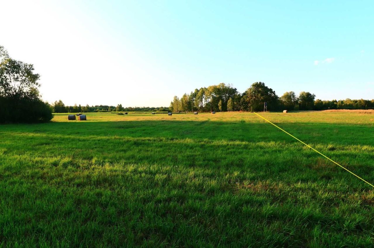 Działka rolna Jaźwiny. Zdjęcie 5