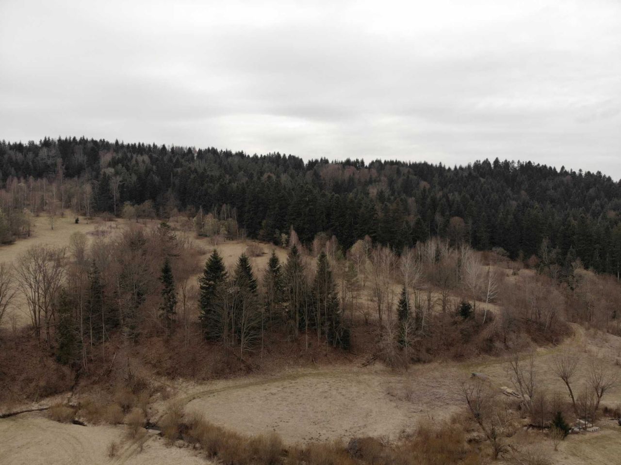 Działka rolna Ropienka. Zdjęcie 5