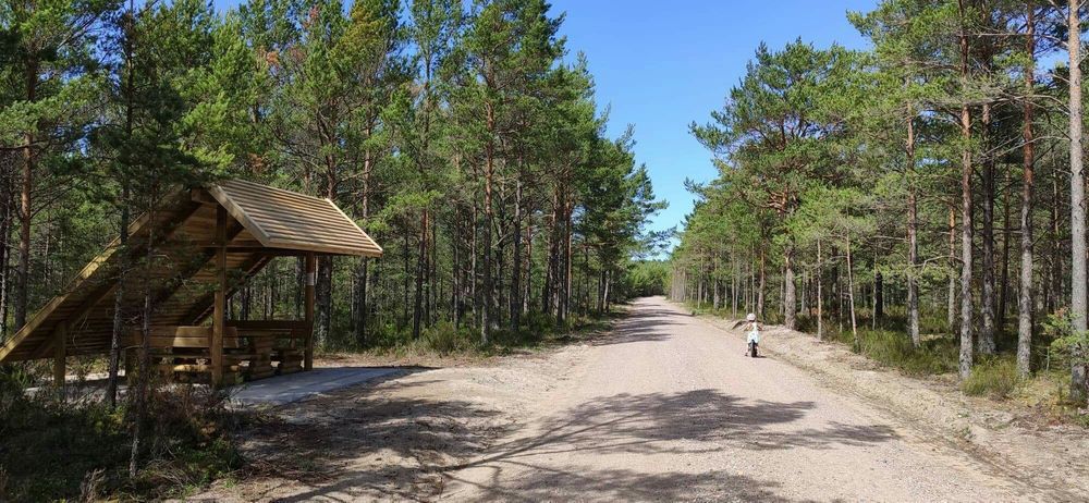 Działka rekreacyjna Sasino. Zdjęcie 1