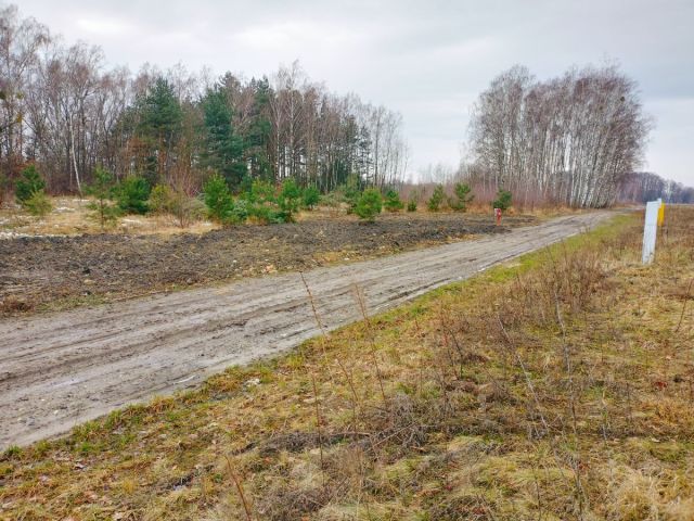 Działka budowlana Stara Wieś. Zdjęcie 15