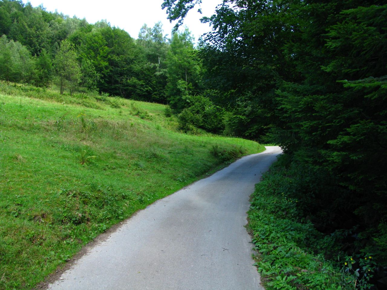 Działka rekreacyjna Koszarawa Bystra. Zdjęcie 2