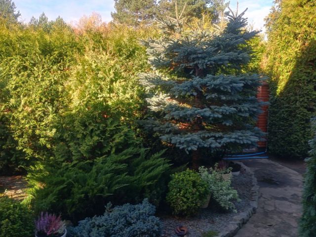 dom wolnostojący, 6 pokoi Kębliny. Zdjęcie 39