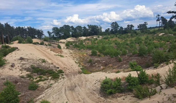 Działka rekreacyjna Kosiorów