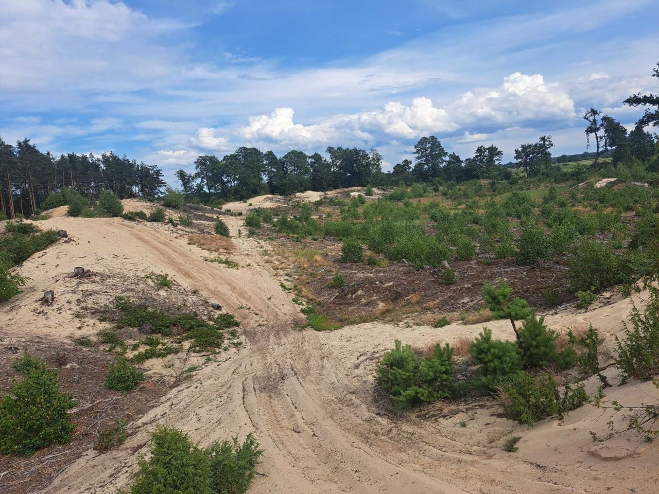 Działka rekreacyjna Kosiorów