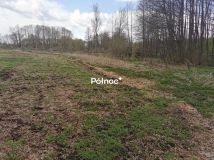 Działka rolna Grabowiec. Zdjęcie 4