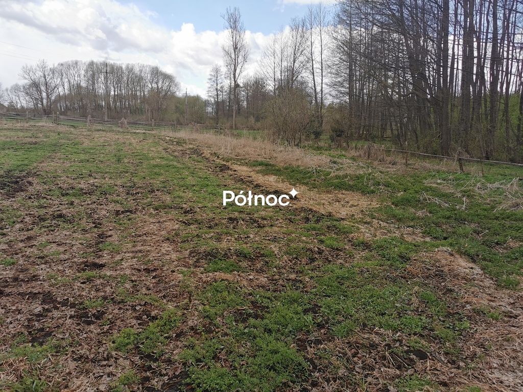 Działka rolna Grabowiec. Zdjęcie 6