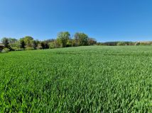 Działka rolno-budowlana Bytom Odrzański. Zdjęcie 1