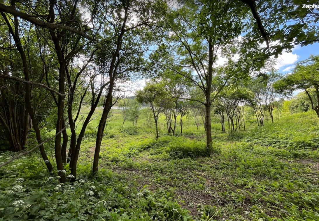 Działka budowlana Bolejny. Zdjęcie 4