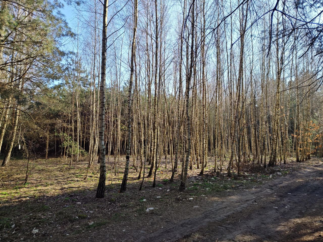 Działka rolna Długie Grodzieckie. Zdjęcie 4