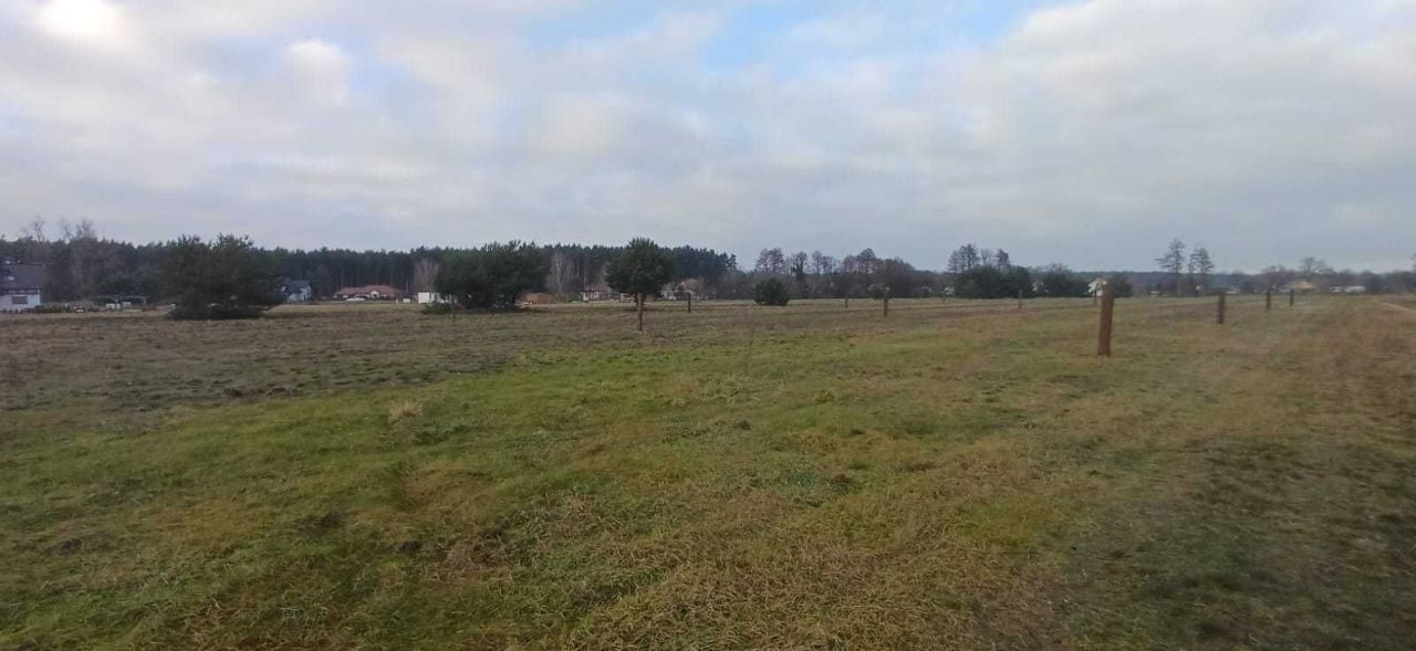 Działka budowlana Szlichtyngowa. Zdjęcie 5