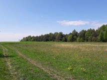 siedlisko, 4 pokoje Pląskowice, Pląskowice 30. Zdjęcie 4