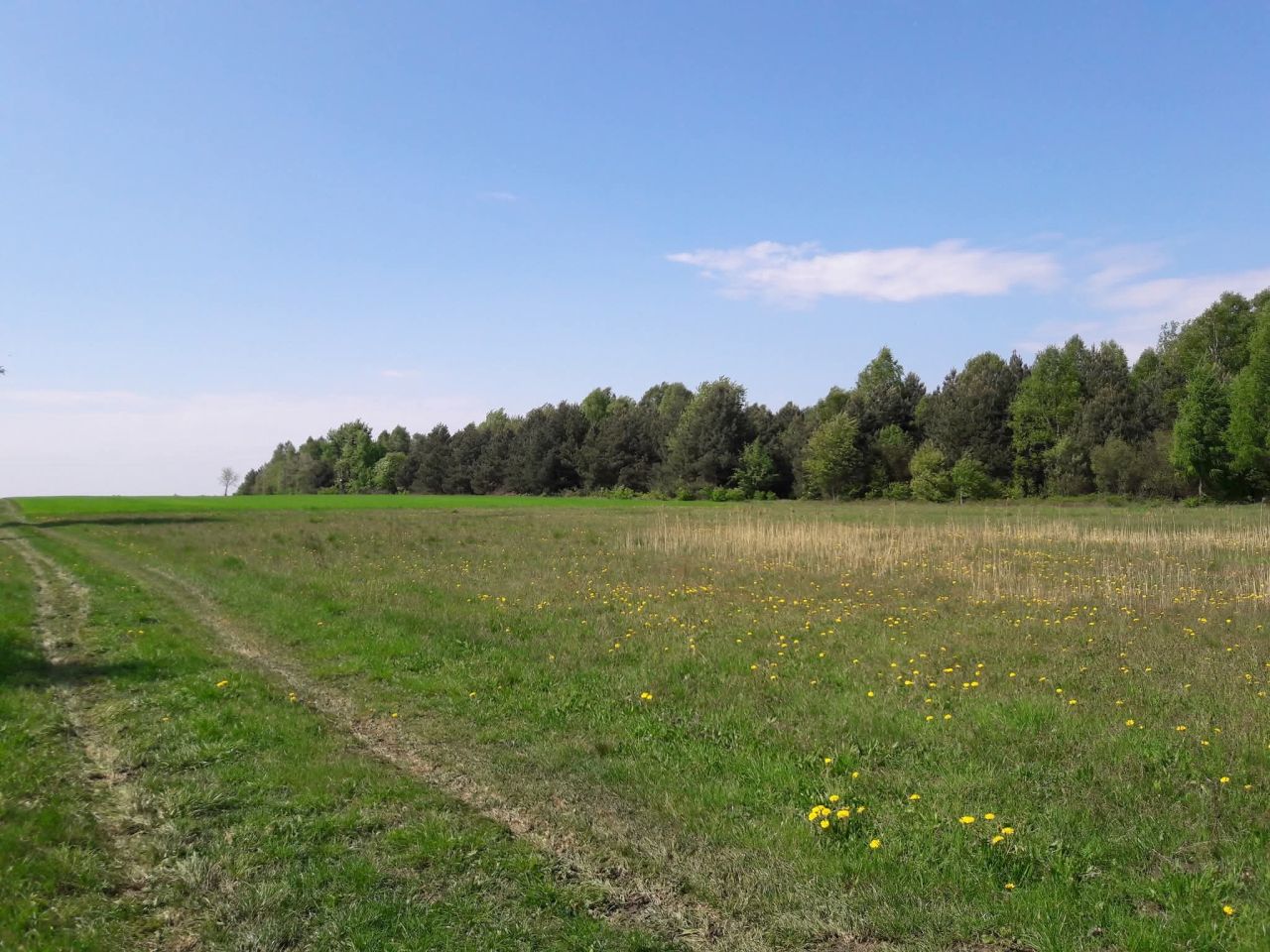 siedlisko, 4 pokoje Pląskowice, Pląskowice 30. Zdjęcie 5