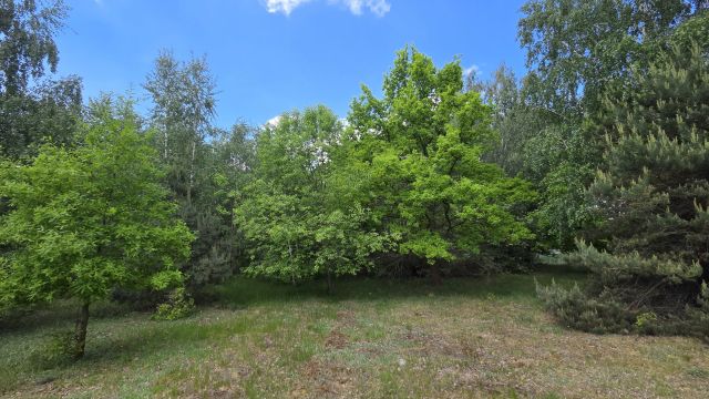 Działka budowlana Janowice. Zdjęcie 1