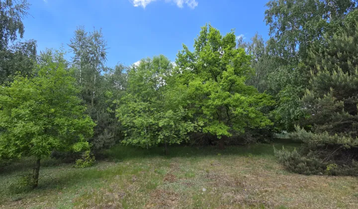 Działka budowlana Janowice