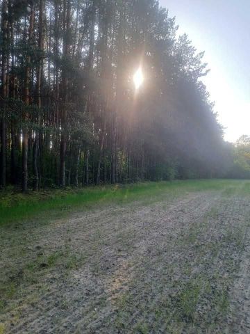 Działka leśna Wola Wadowska. Zdjęcie 1