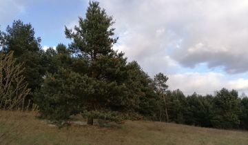 Działka budowlana Boksycka