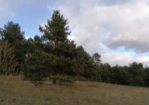 Działka budowlana Boksycka. Zdjęcie 1