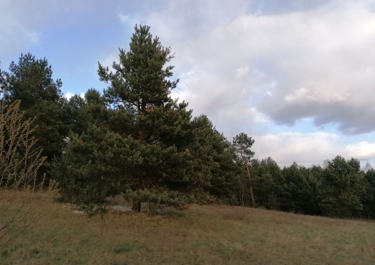 Działka budowlana Boksycka. Zdjęcie 2