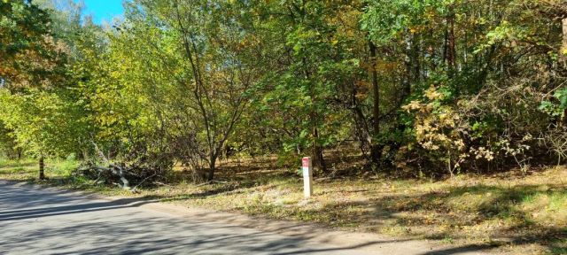 Działka budowlana Żółwin. Zdjęcie 9