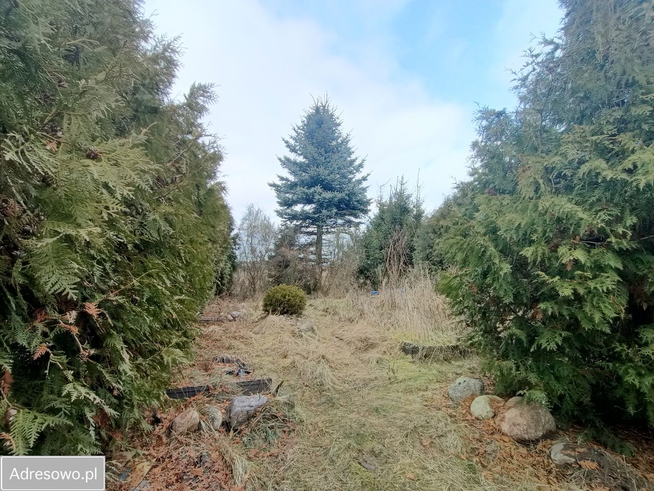 Mieszkanie 3-pokojowe Wyczechy. Zdjęcie 18