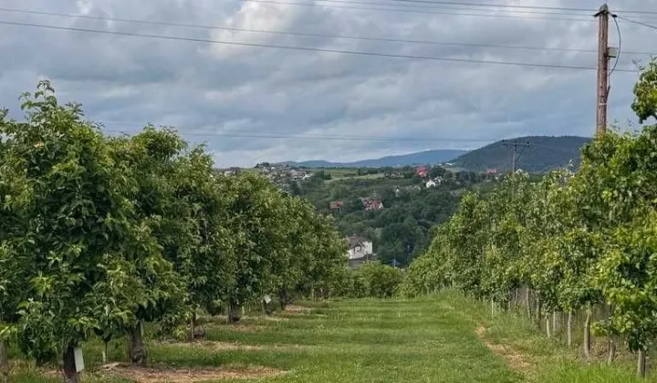 Działka budowlana Łukowica