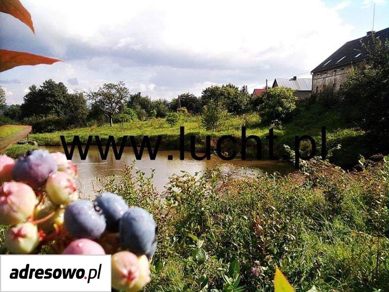 gospodarstwo, 12 pokoi Wojbórz. Zdjęcie 16