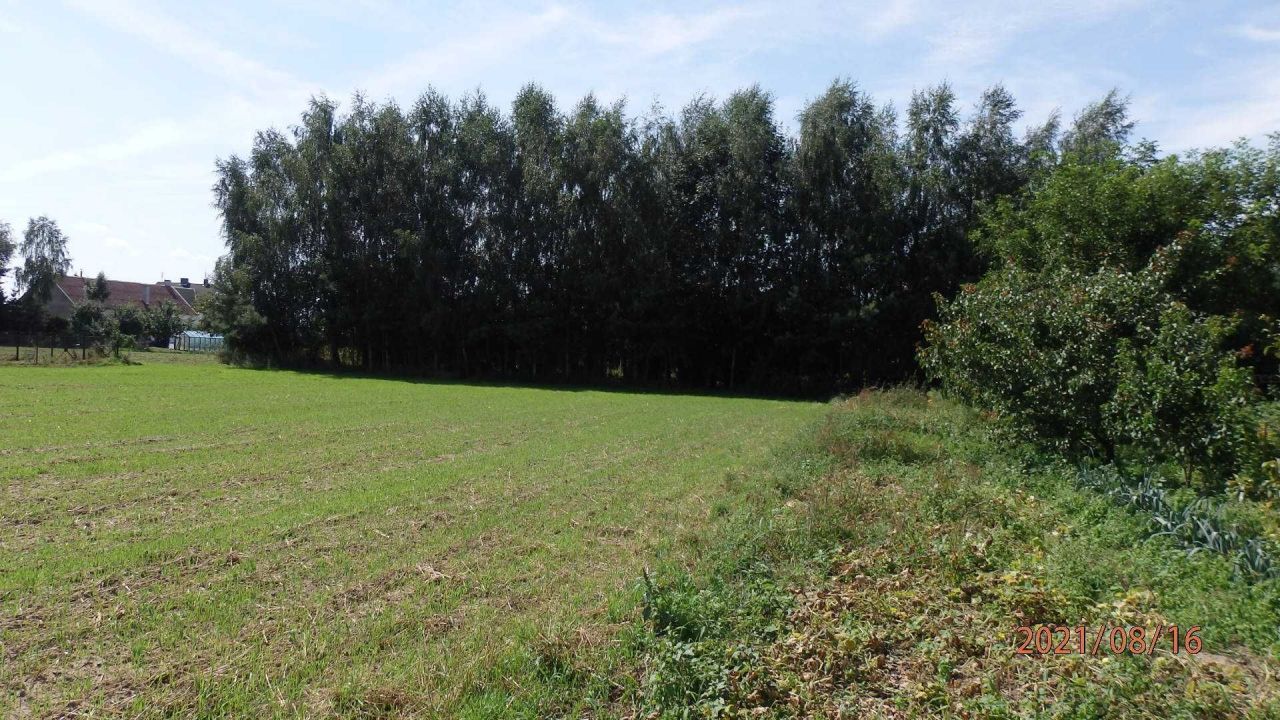 Działka budowlana Głogówko Królewskie, ul. Długa. Zdjęcie 3