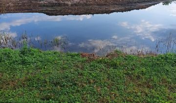 Działka rolna Czarnowo