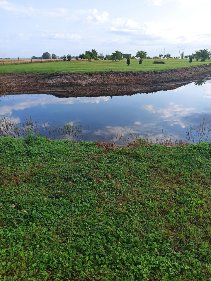 Działka rolna Czarnowo. Zdjęcie 2