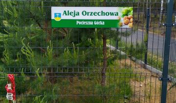 Działka rekreacyjna Trzepnica