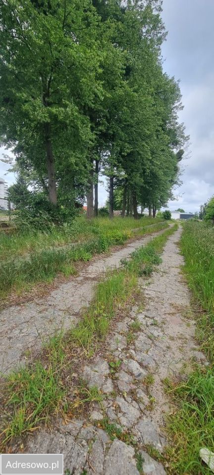 Działka inwestycyjna Ostróda, ul. 1 Dywizji. Zdjęcie 5