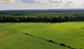 Działka rolna Cisewo