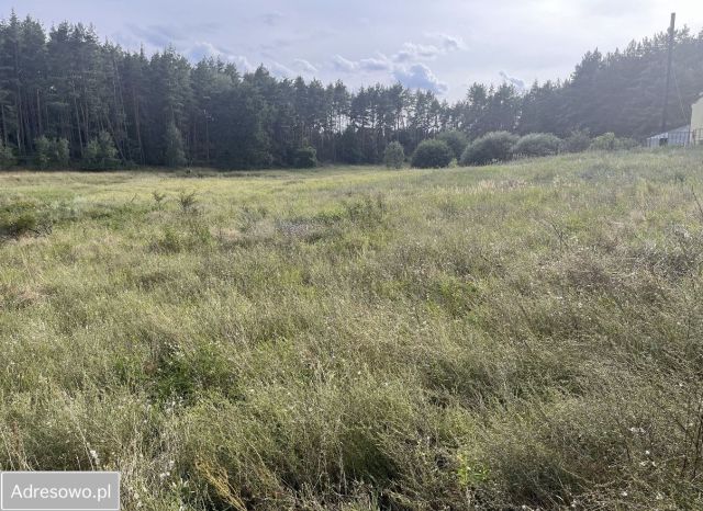 Działka budowlana Żórawie, ul. Morelowa. Zdjęcie 1