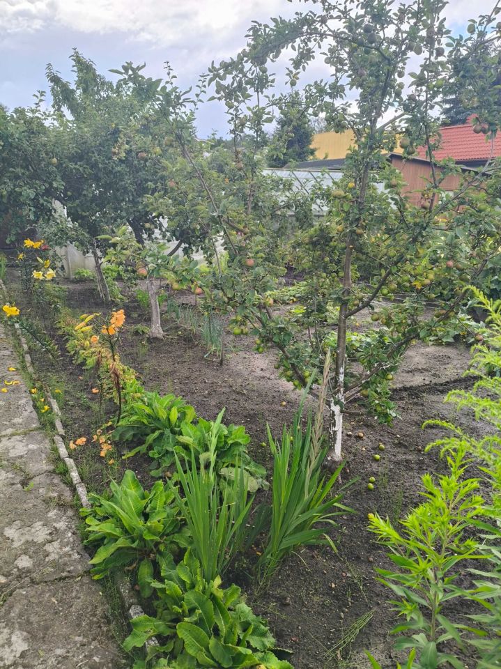 Działka rod Słupsk. Zdjęcie 5