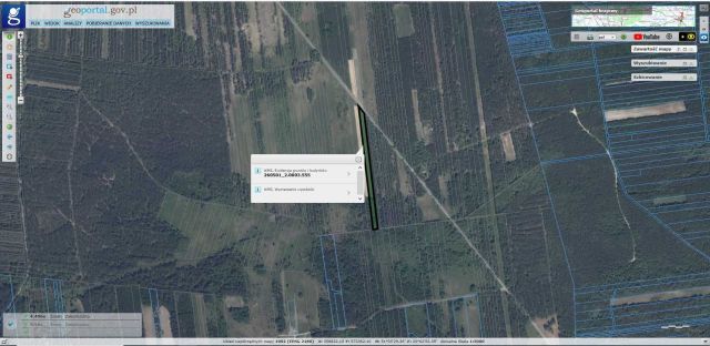 Działka rolna Sielpia Wielka. Zdjęcie 1