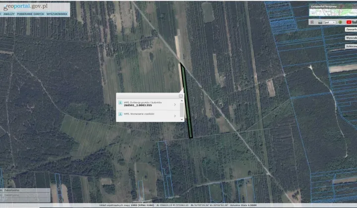 Działka rolna Sielpia Wielka